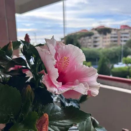Appartement Casa Marilia *